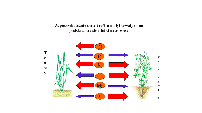 Grafika przedstawiająca zapotrzebowanie traw i roślin motylkowatych na podstawowe składniki nawozowe