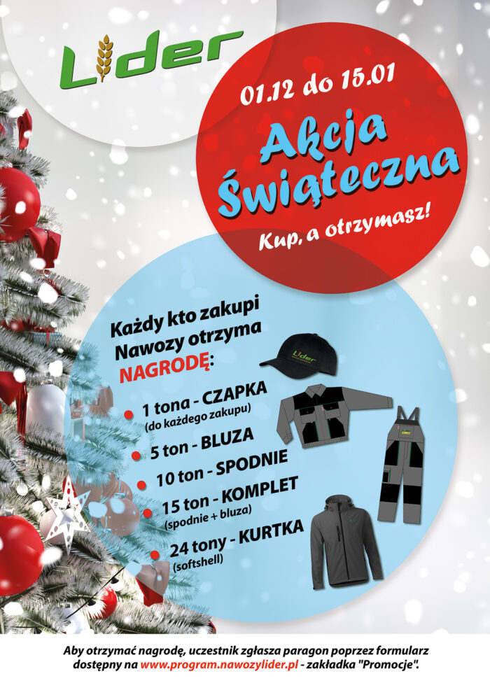 Akcja Świąteczna