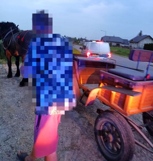 pijany woźnica, zaprzęg, dzielnicowy, koń