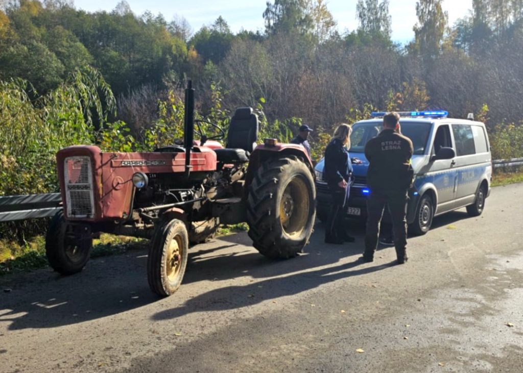 akcja stroisz, pijany traktorzysta, leśnicy, wycinka drzew